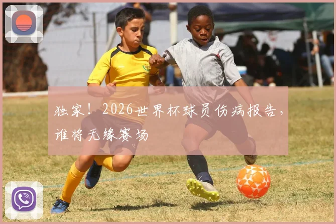 独家!2026世界杯球员伤病报告,谁将无缘赛场