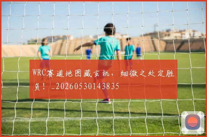 WRC赛道地图藏玄机,细微之处定胜负!_20260530143835